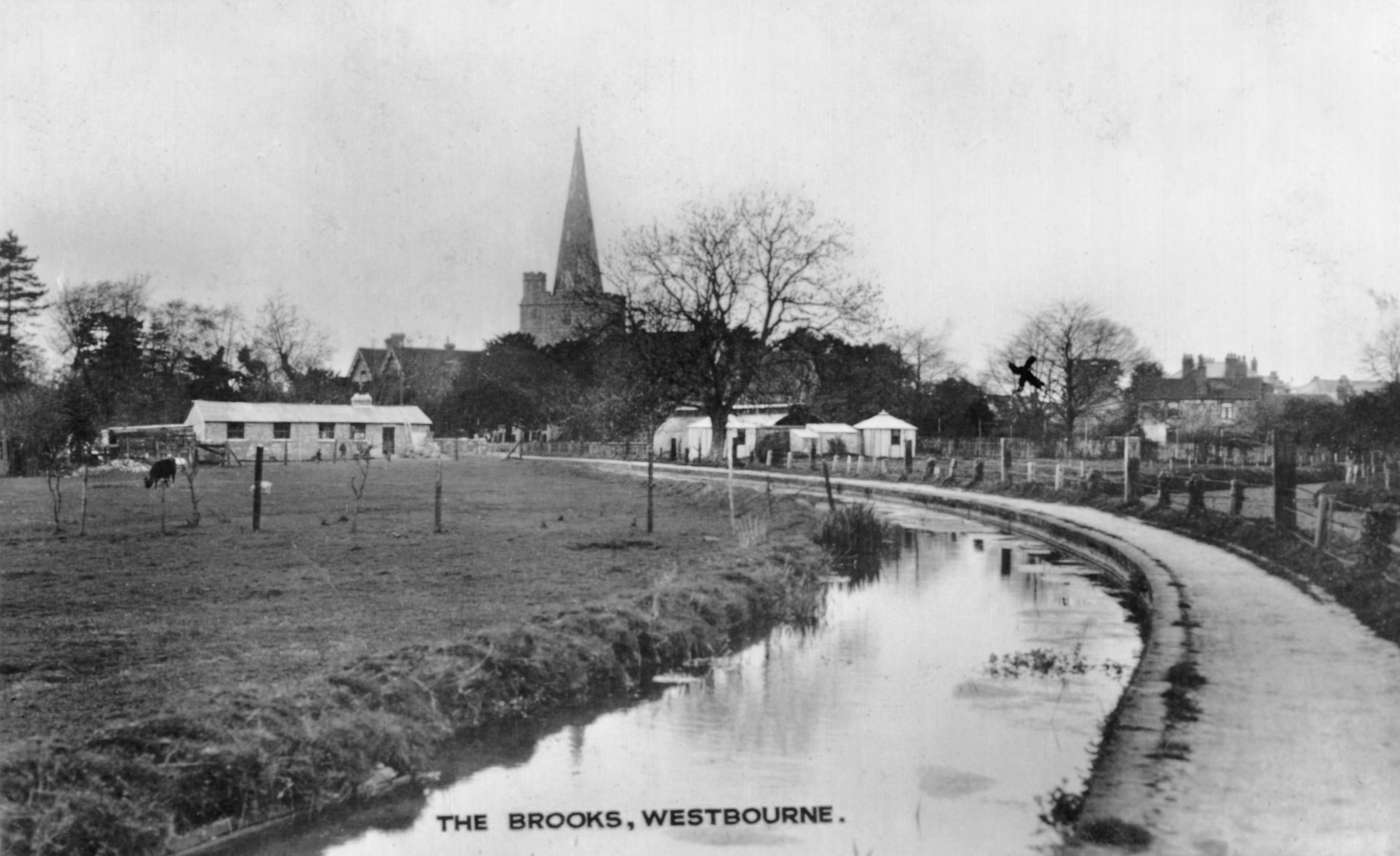 WESTBOURNE HISTORY PHOTO, SUSSEX,MEMORIES,THEN AND NOW